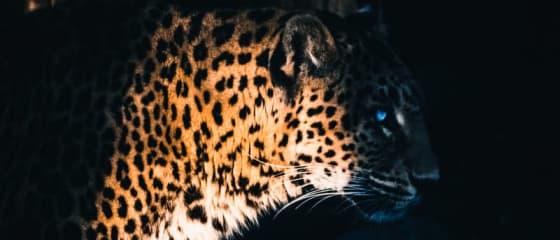 Yggdrasil が ReelPlay と提携し、Bad Dingo から Jaguar SuperWays をリリース